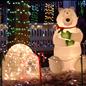 2012 Lake Mary Holiday Lights